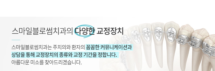 이미지명